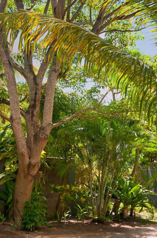 Gardens Retreat Βίλα Pereybere Beach Εξωτερικό φωτογραφία